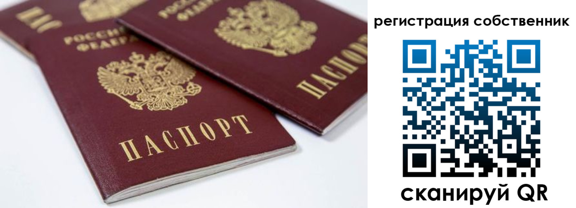 прописка для школы в Далматово
